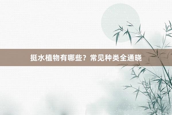 挺水植物有哪些？常见种类全通晓