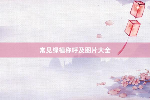 常见绿植称呼及图片大全