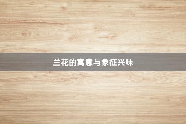 兰花的寓意与象征兴味
