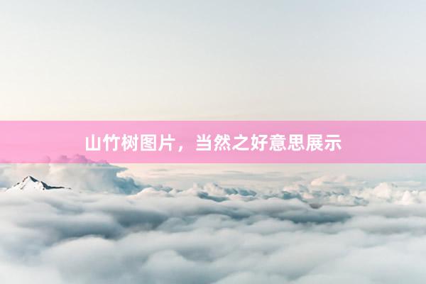 山竹树图片，当然之好意思展示