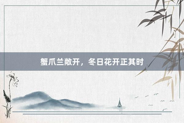 蟹爪兰敞开，冬日花开正其时