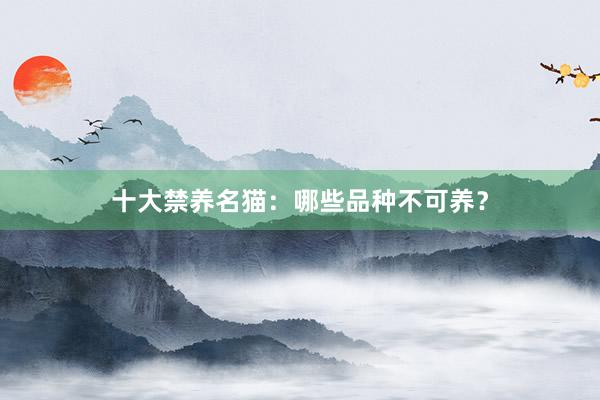 十大禁养名猫：哪些品种不可养？